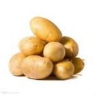 2011 chinese  new   crop  fresh  potato   yellow  skin in carton package