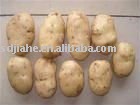 chinese potato