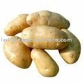sweet potato