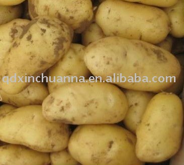 2011 new crop potatoes