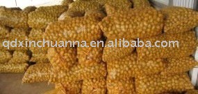  fresh   new   crop   potato es