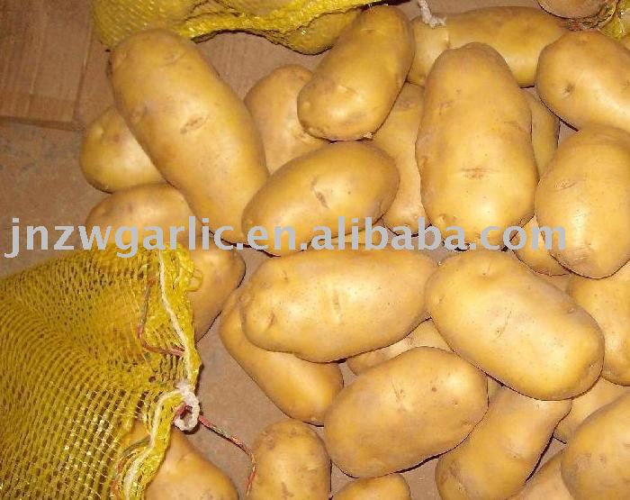 100g new crop fresh potato