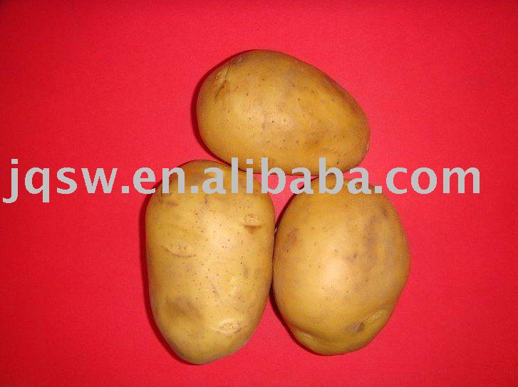 new crop potato