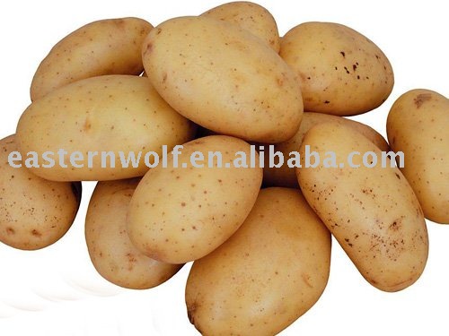 Chinese fresh  potato  in 10kg  mesh  bag package.  MOQ:1X40FCL
