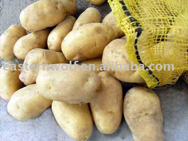 Fresh Chinese potato in 10kg mesh bag package
