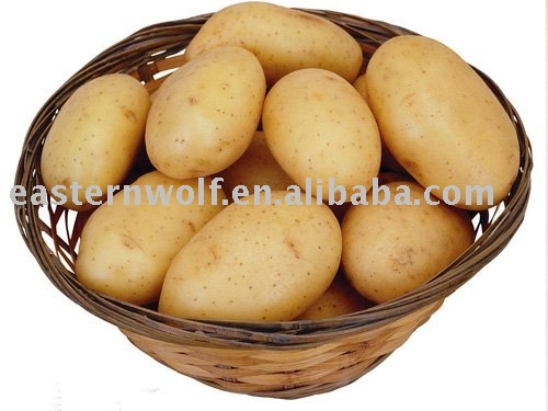 Chinese  potato  in  10kg   mesh  bag  package
