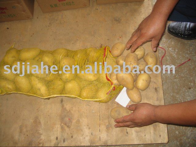 Holland potatoes