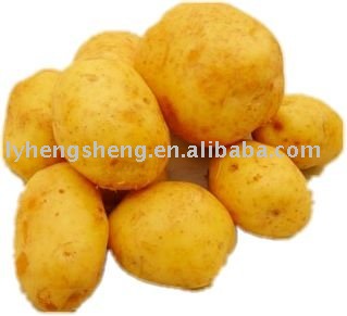 Chinese potato