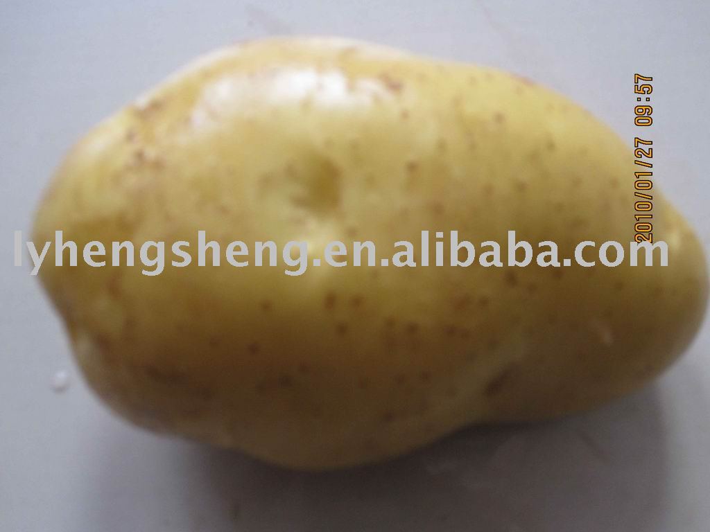 potato