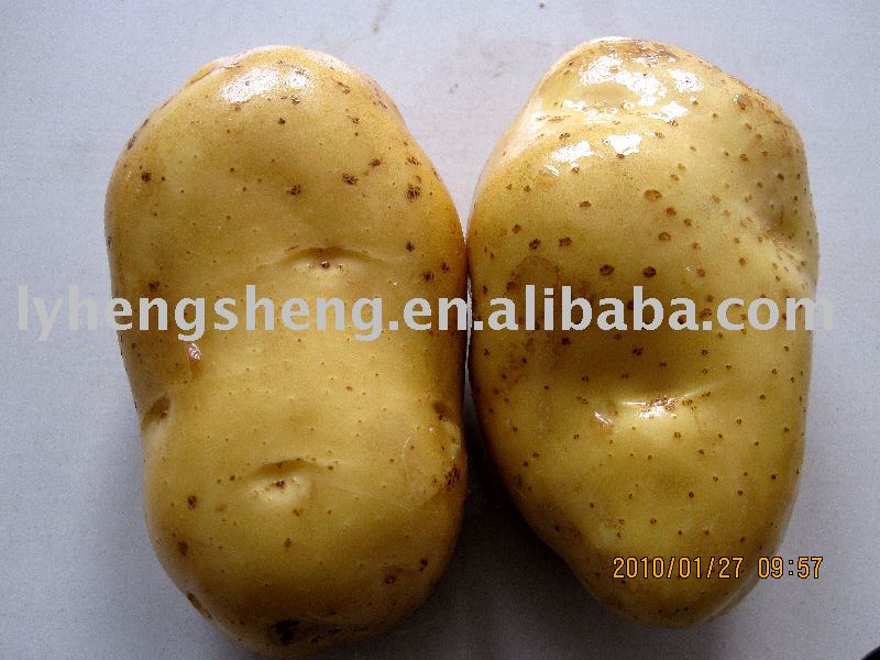 super Chinese potato