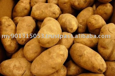 Fresh  Potato ,  Potato es, Chinese  Potato ,  Potato , Russet   Potato 