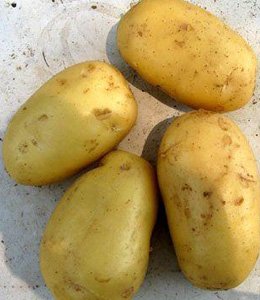  100g   Potato 