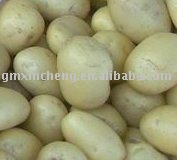  new   holland  potato