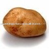 fresh preserved potato
