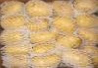 Fresh Potatoes For Exports