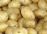 Fresh Organic Potatoes,chick  Peas ,Ginger, Garlic  and a variety of others for sale