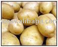 Potatoes