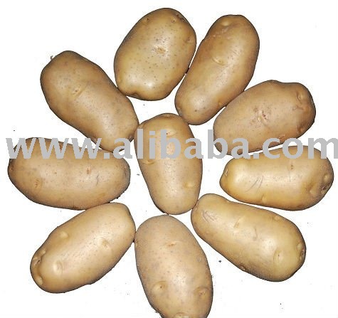 vegetables|Vegetables from Bangladesh suppliers,exporters on 21food.com