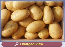 Fresh Potato & Red Onions