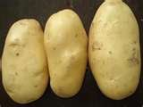 fresh potatoes