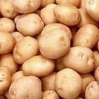 QUALITY IRISH POTATO AND TARO FOR SALE