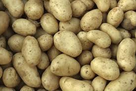 Fresh red and yellow  fresh potatoes