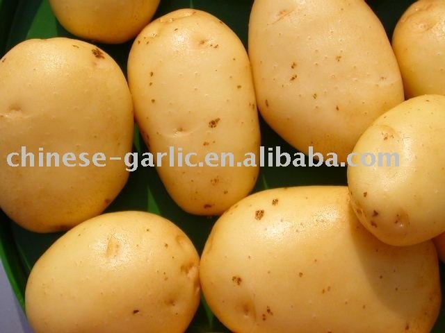 Fresh Potato,Pakistan Potato price supplier - 21food