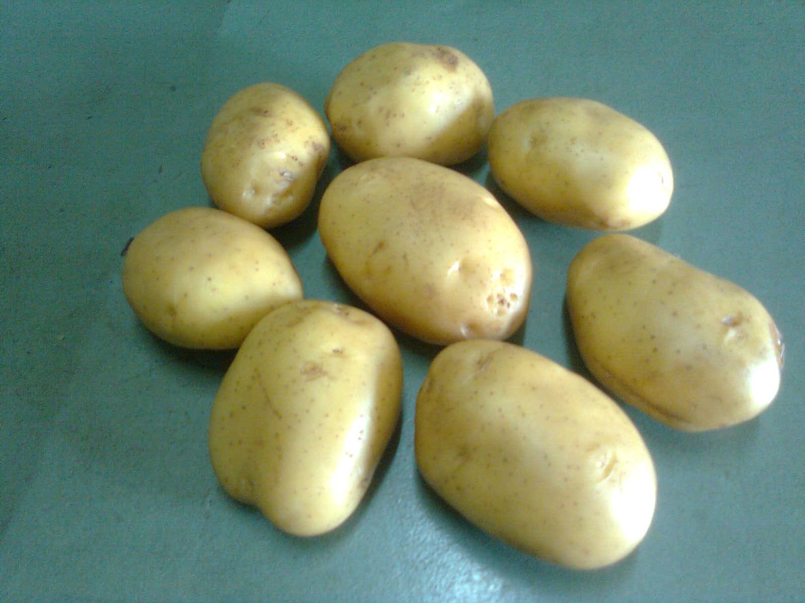 fresh potato fob price ctg port per m.t is 535 usd,