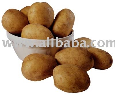 Potato