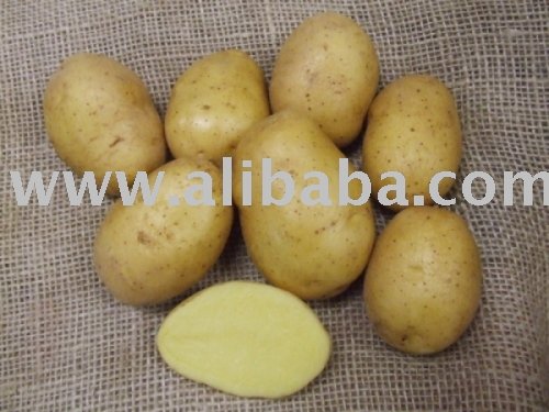 Potato Seeds Certified