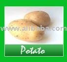 potato