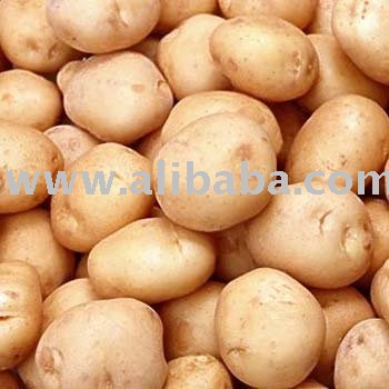 Fresh Potatoes