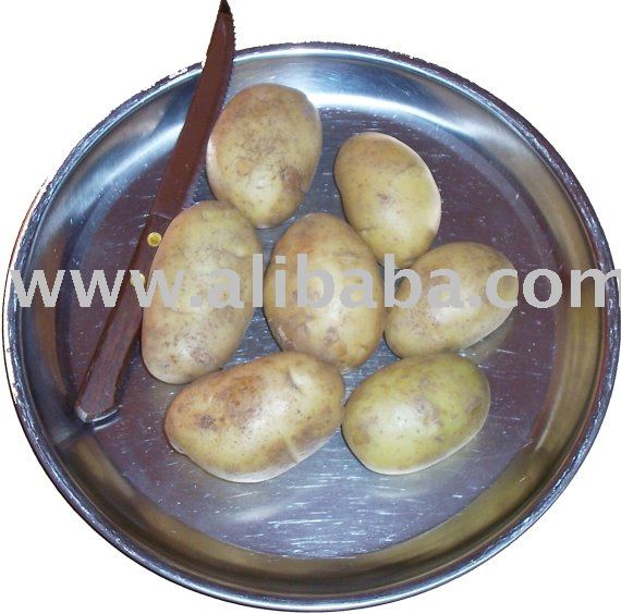 Egyptian    US   Potato 