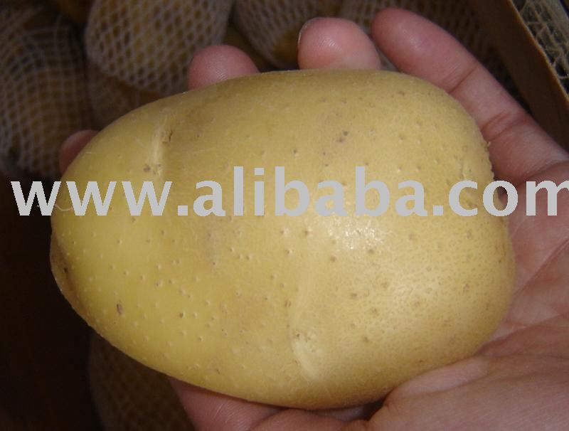 Brushed Potato