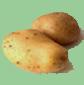  Types  of  Potatoes 