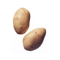Potato