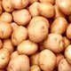 fresh potatoes available