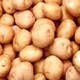 fresh potatoes