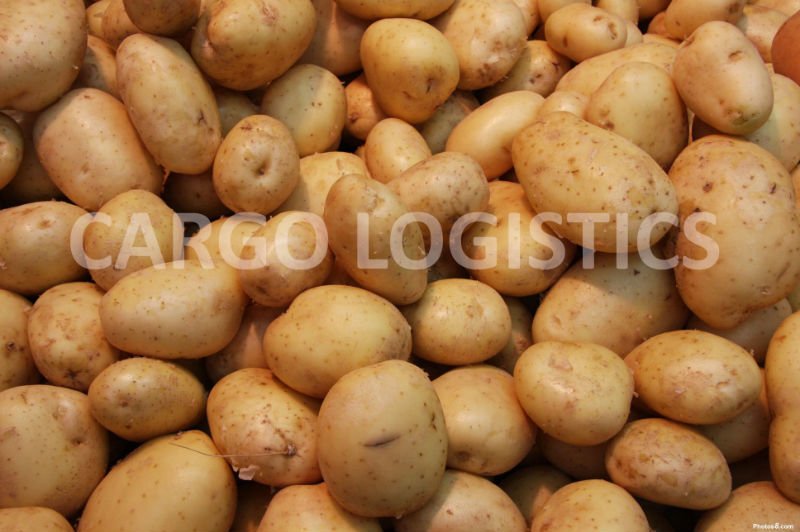 Fresh Sweet Potatoes
