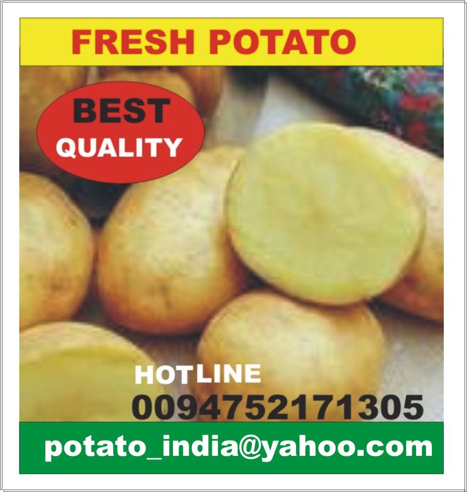 Fresh POTATO from INDIA with SGS