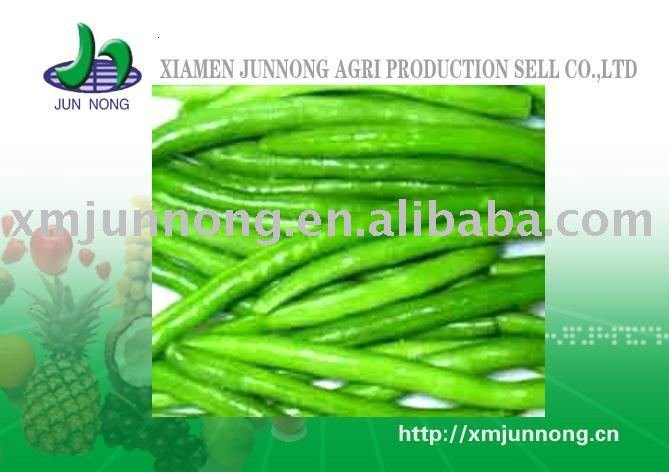 delicious frozen vegetable food IQF Green Bean