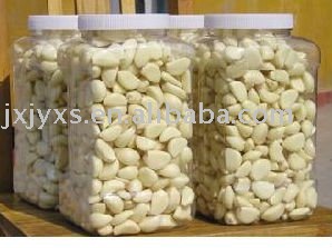 Low  Price   Garlic Clove