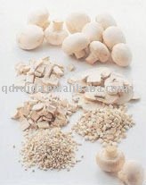 dehydrate mush room