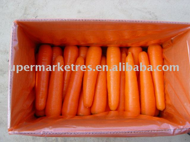  Frozen  Carrot; Fresh  Taro;Holland Potato