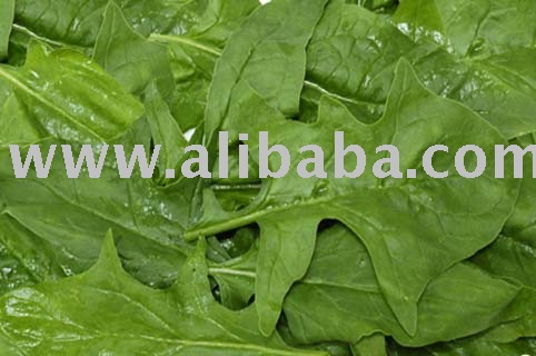Frozen Spinach