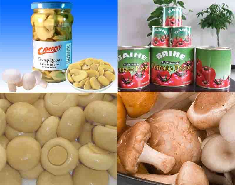 Canned mushroom/Tomato Paste, IQF mushroom/shiitake/Strawberry/black berry