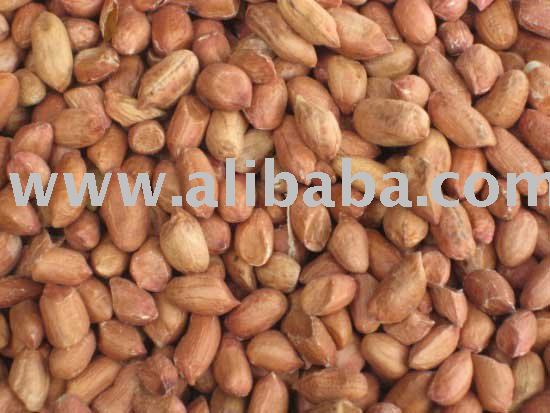 Frozen Fresh  Peanut 
