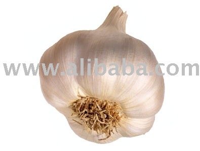 Garlic Paste & Onion Paste