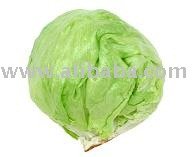 Lettuce