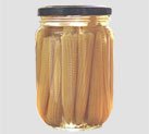 Pickled baby corn  canned vegetable